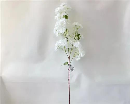 Cén chaoi a ndéanann bláthanna síoda blossom silíní macasamhlú ar uigeacht íogair peitil Sakura fíor?