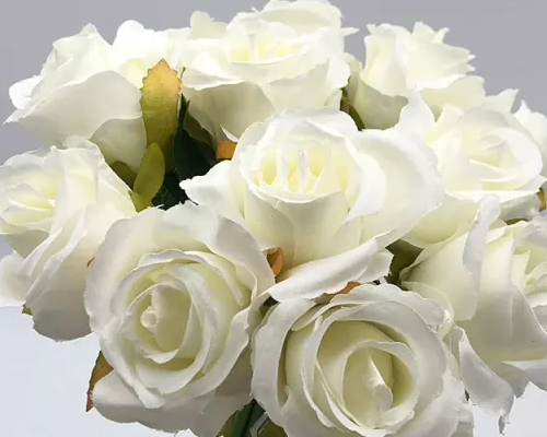 Cad a dhéanann Roses Saorga ina rogha iontach do mhaisiú baile agus imeachtaí?