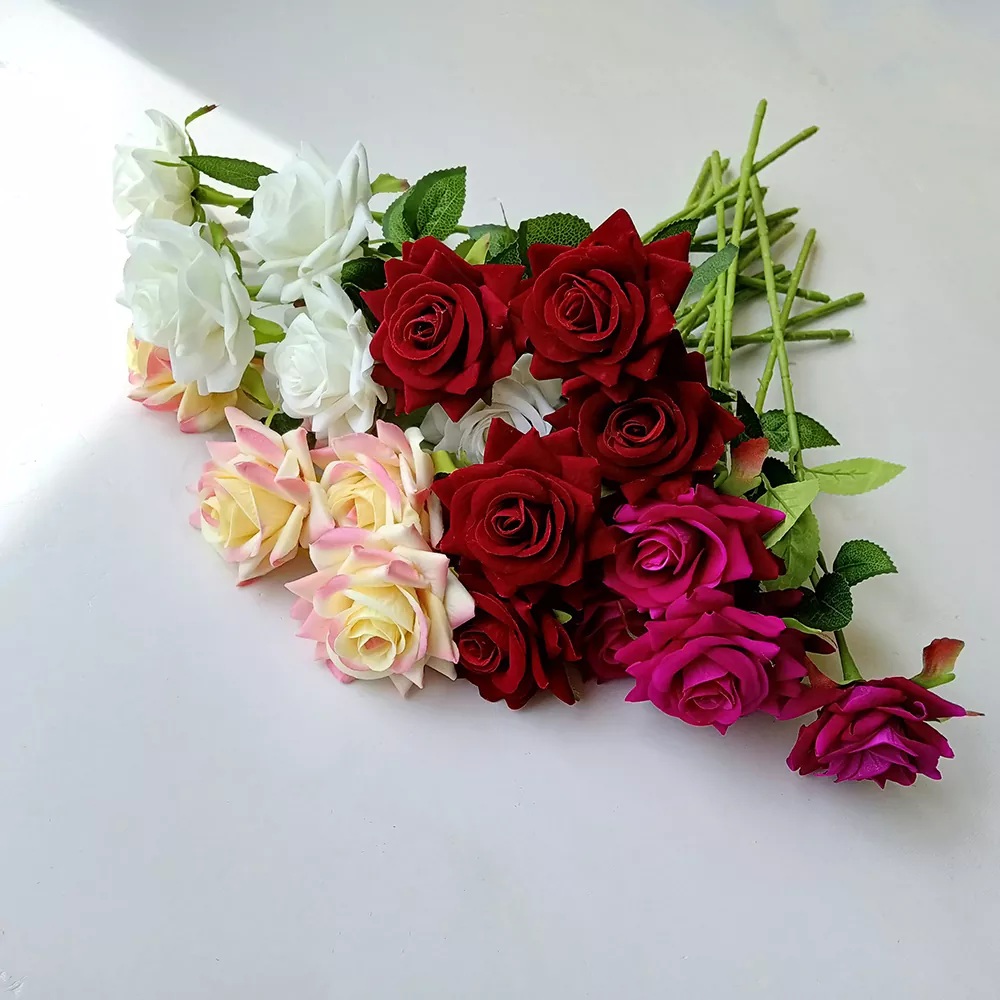 Roses Saorga vs Real Roses - Cé acu is fearr do phóstaí?
