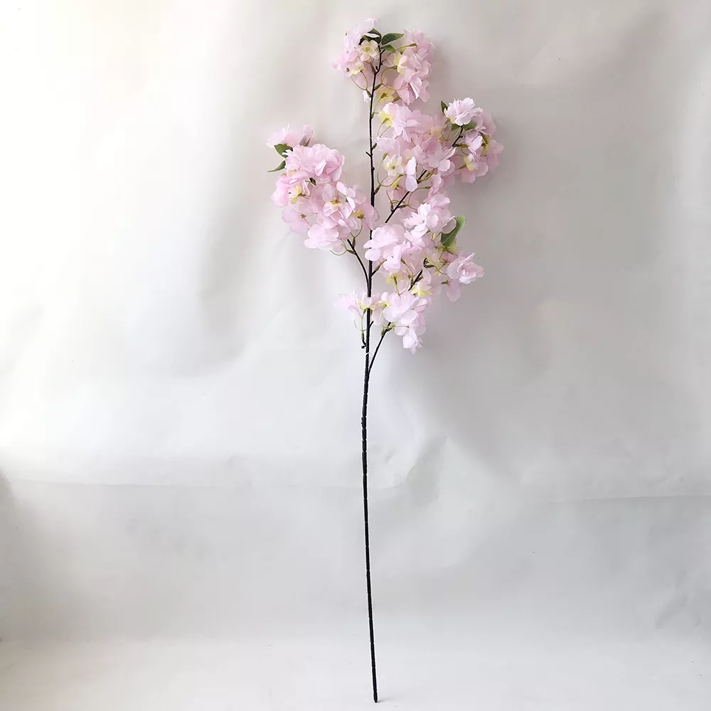 3 Forks Blossom Cherry Saorga