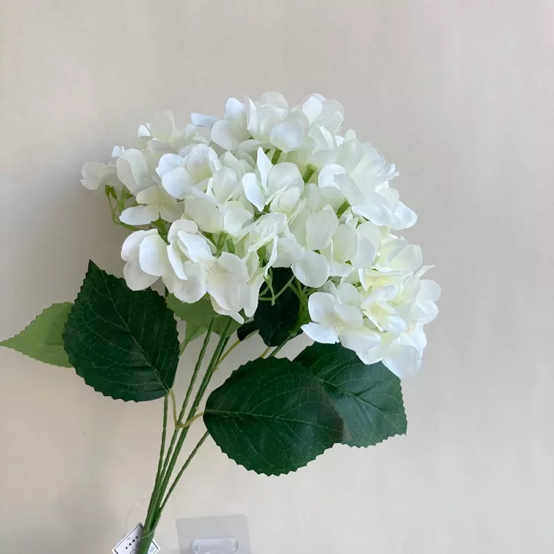 Bláthanna hydrangea saorga 5-ceann