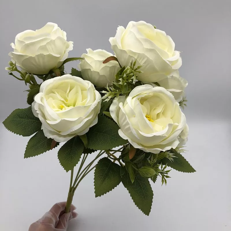 Rose Austin Saorga