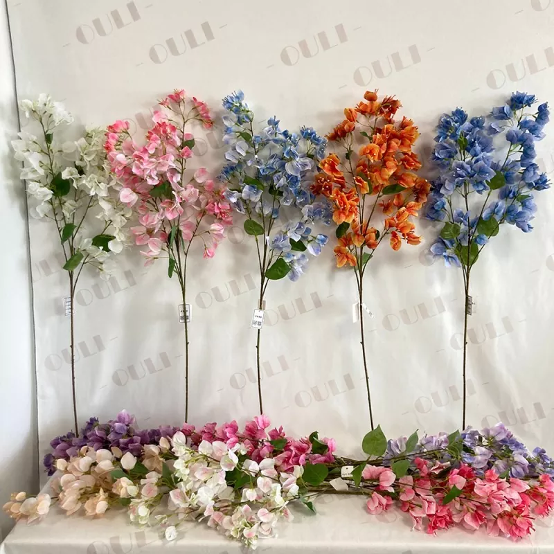 Brainse Saorga Bougainvillea
