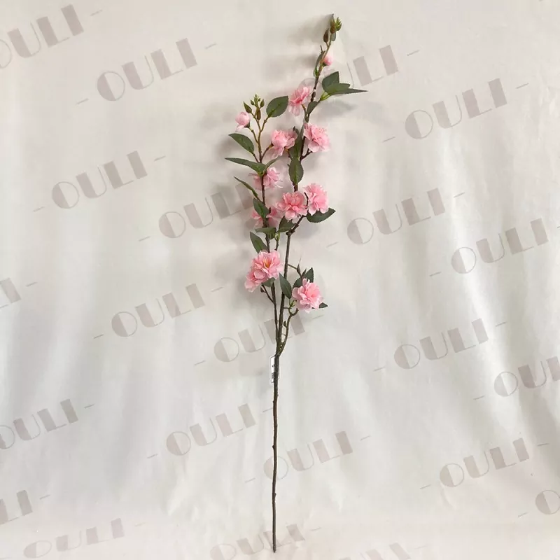 Bláth Camellia Saorga
