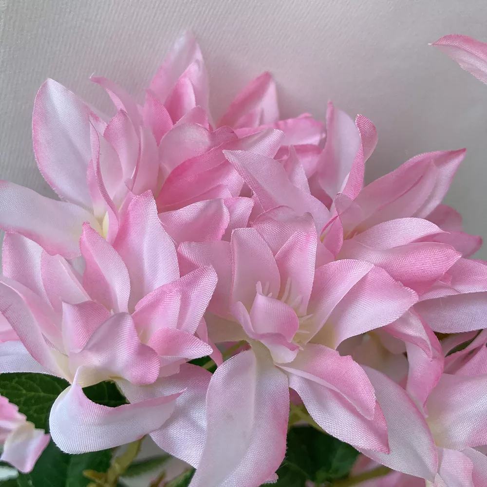 Brainsí Blossom Silíní Saorga