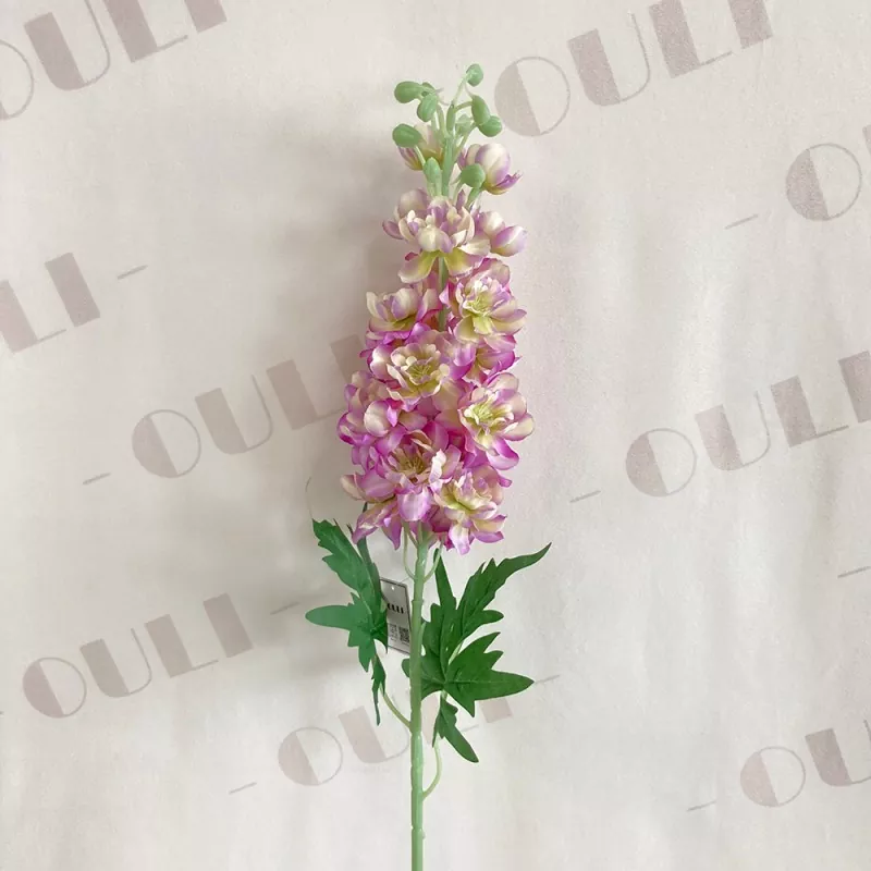 Bláthanna saorga delphinium