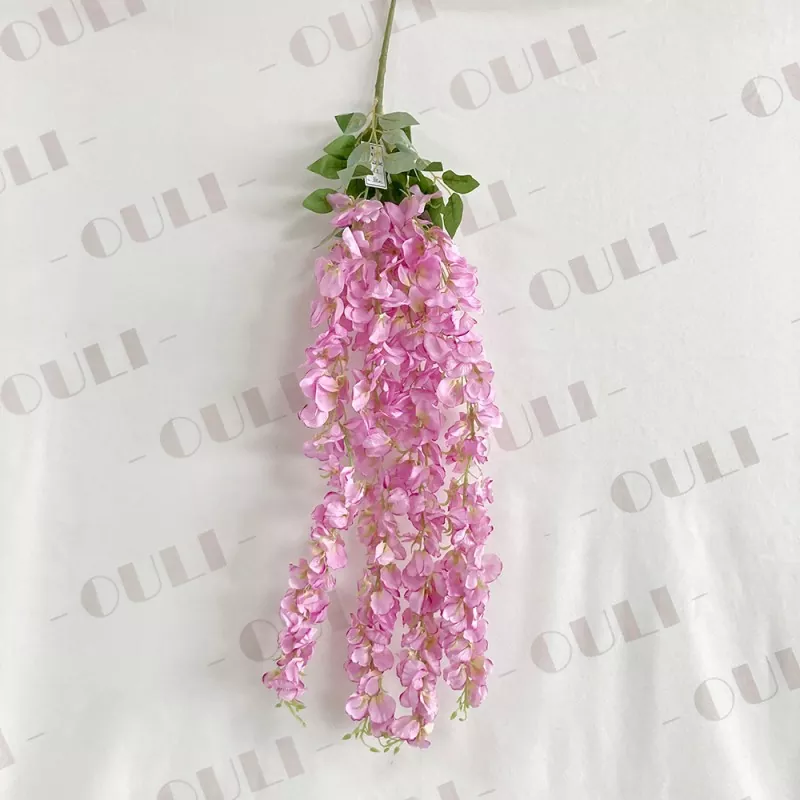 Wisteria crochta saorga