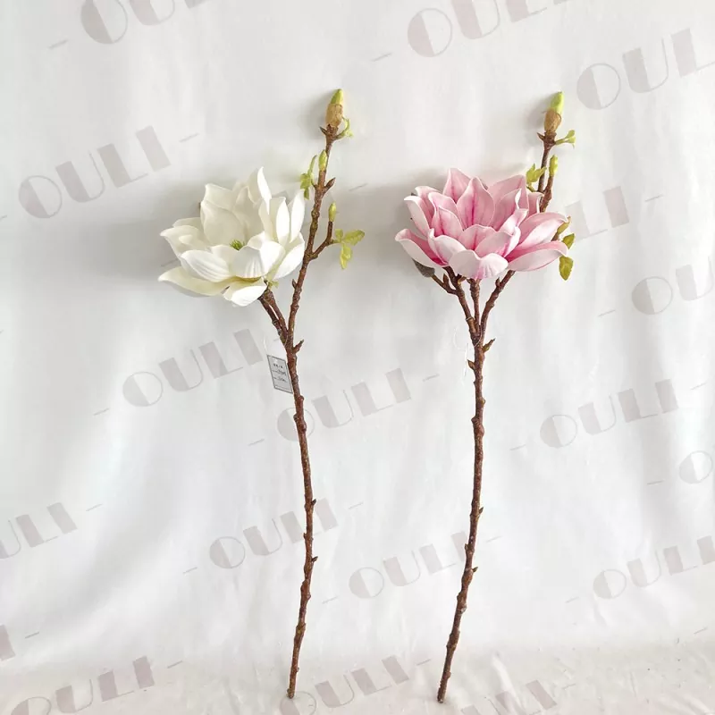 Bláth Magnolia Saorga