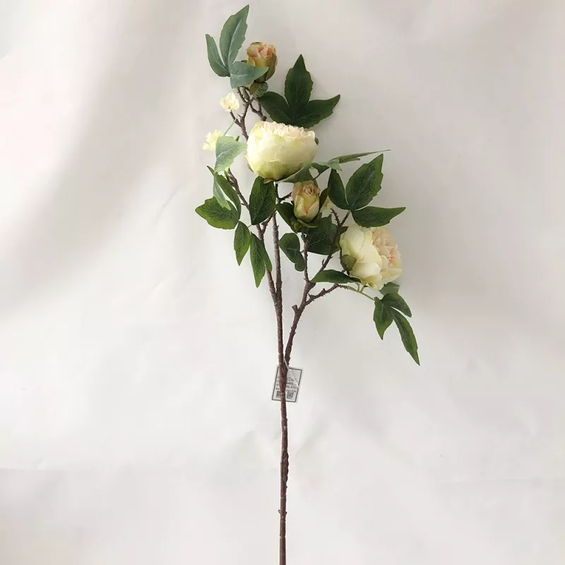 Bláthanna síoda peony saorga