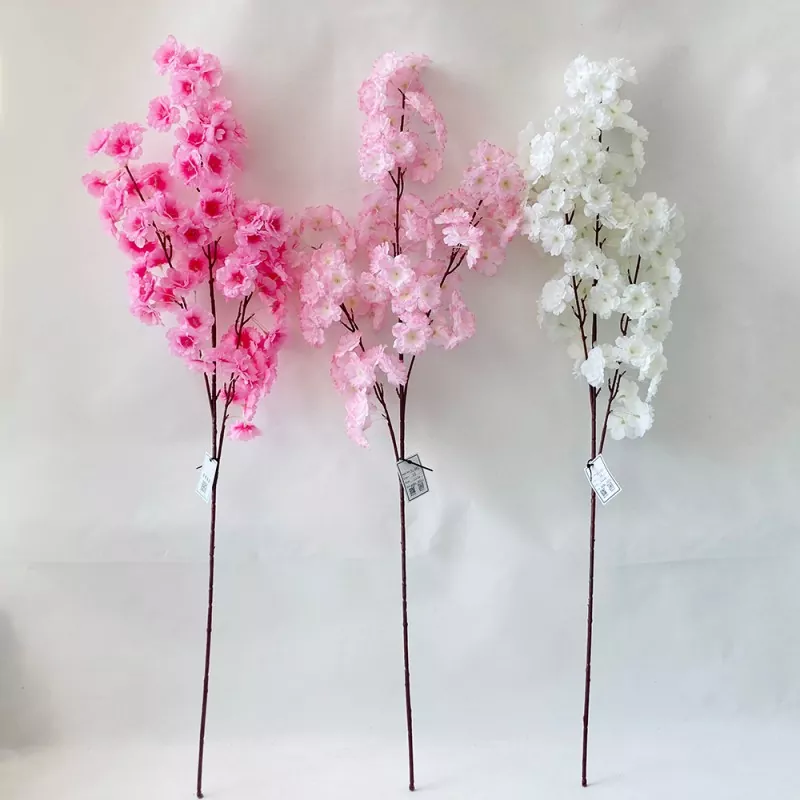 Bláthanna Saorga Blossom Cherry