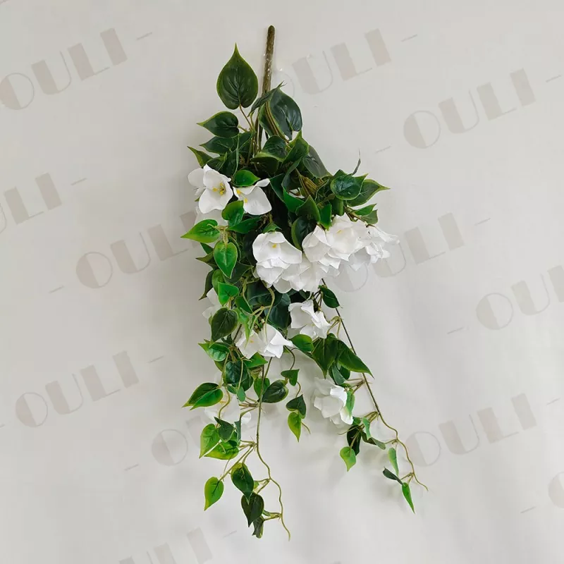 Bougainvillea falsa bláthanna crochta