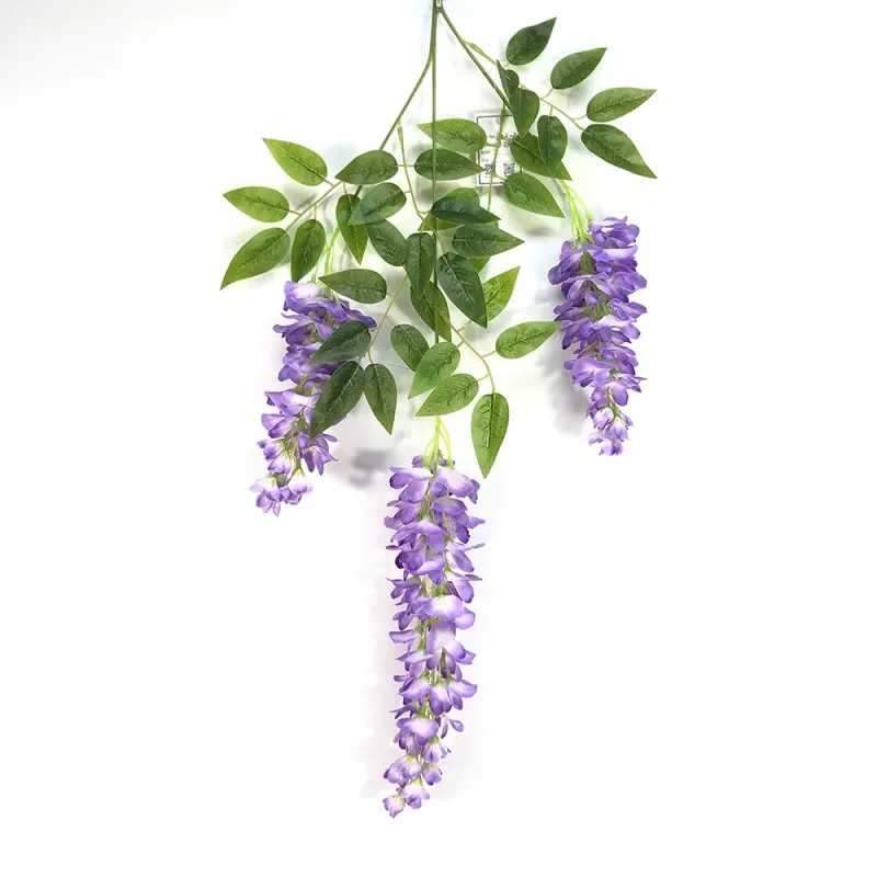 Brainsí bréige wisteria