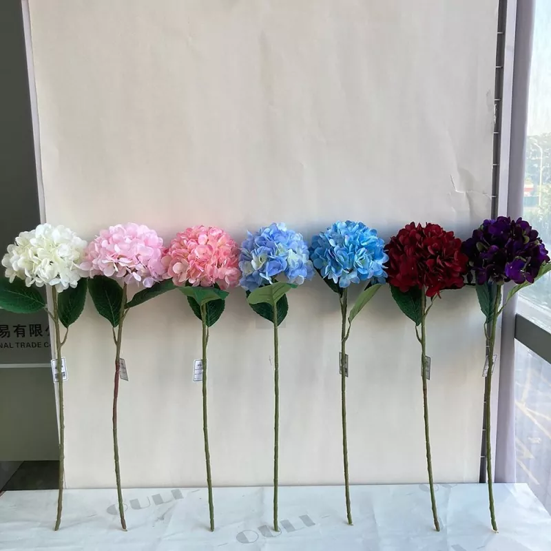 Bláthanna Saorga Hydrangea