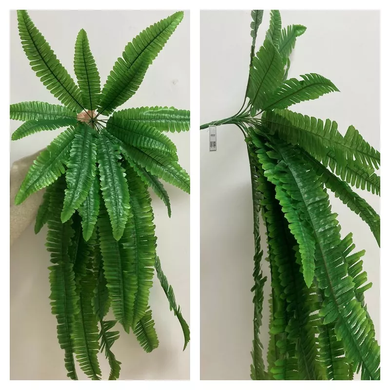 Mini size faux Boston Fern bulk order