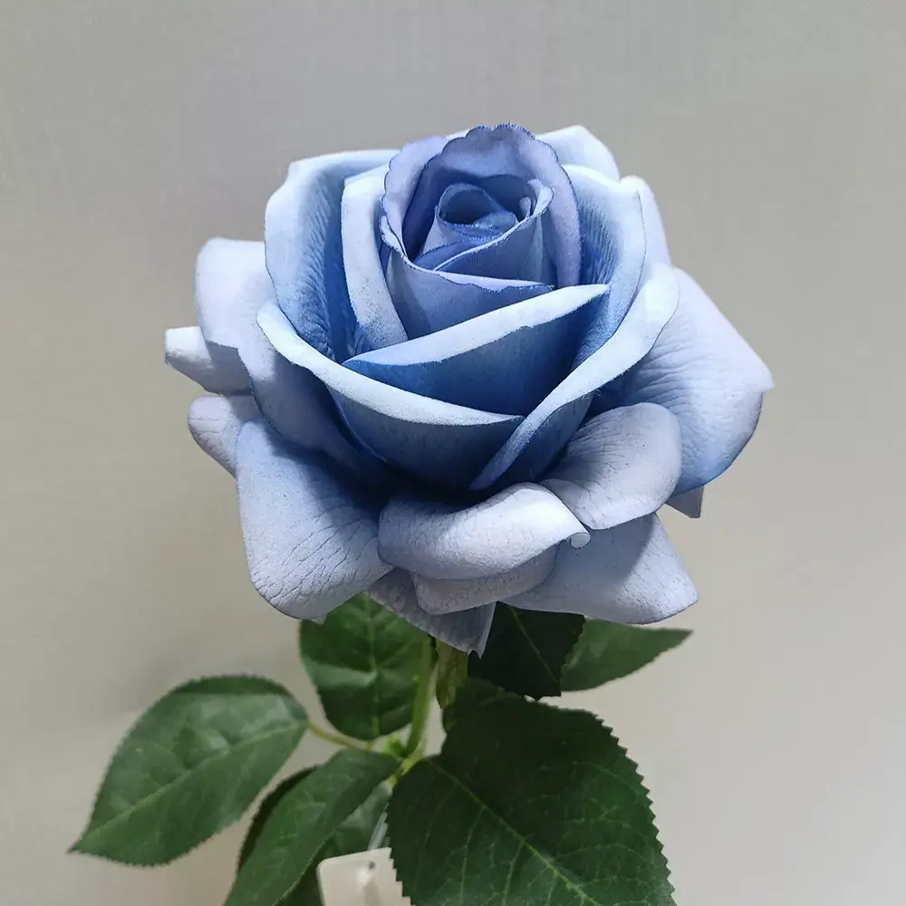 Latex Real Touch Roses Roses Flower