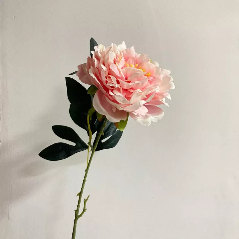 Peony falsa falsa fada fada amháin