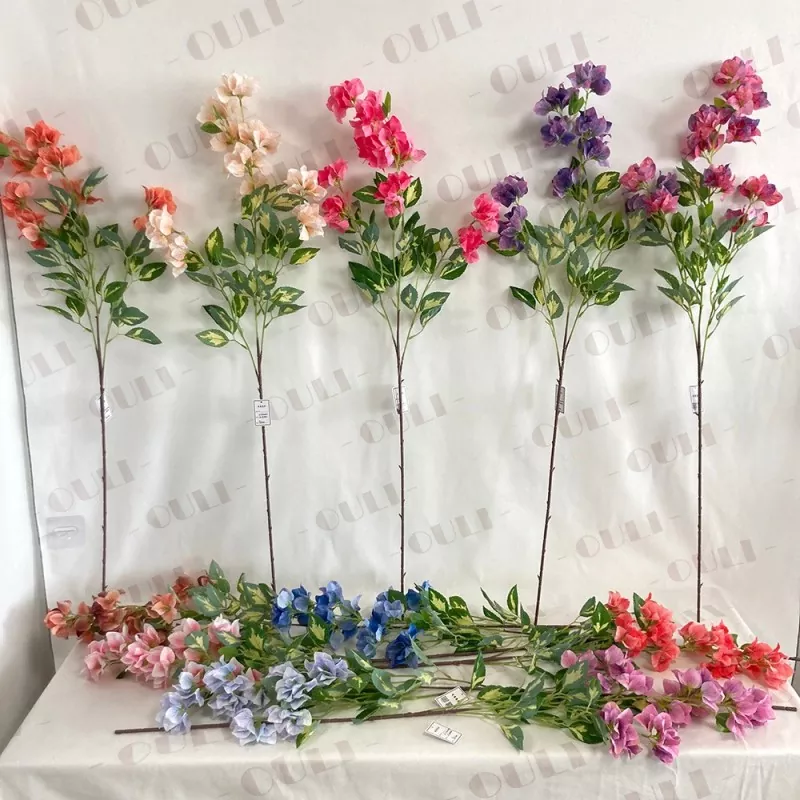 Bougainvillea saorga síoda
