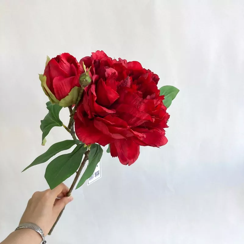 Bláthanna peony saorga síoda