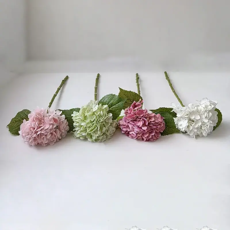 Hydrangeas saorga tadhaill amháin gas amháin