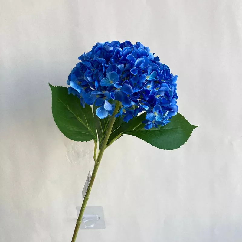 Bláth hydrangea saorga atá frithsheasmhach in UV
